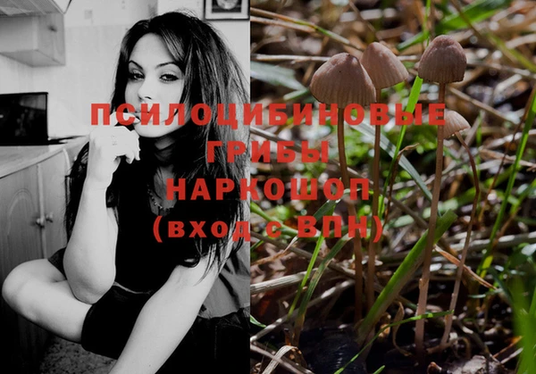 прущий лед Семилуки