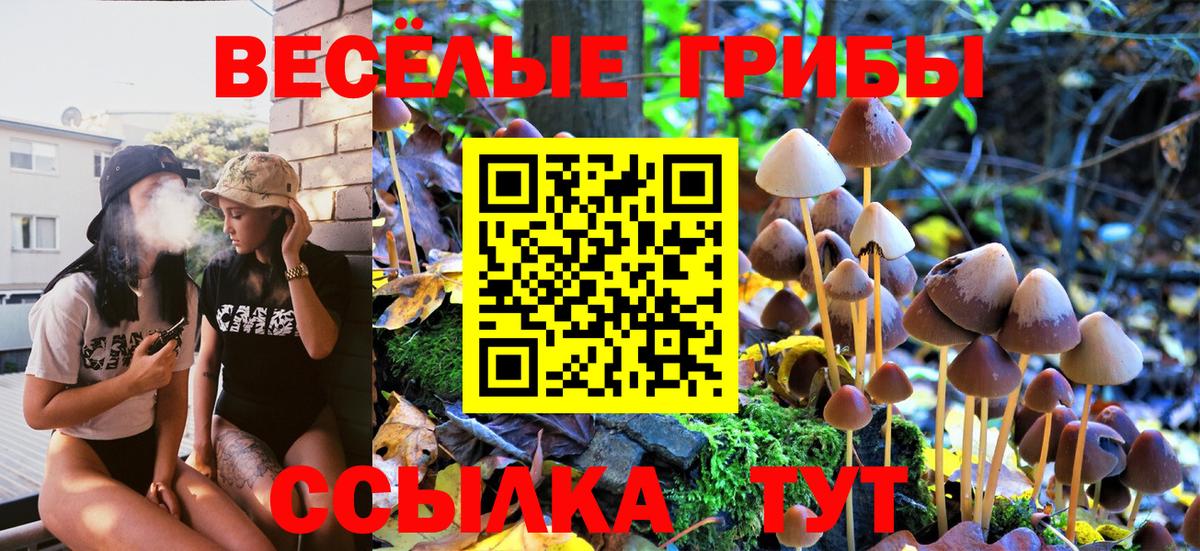 Псилоцибиновые грибы прущие грибы Балашов