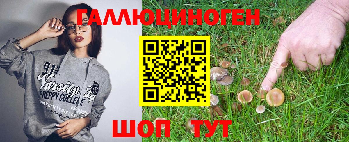 Псилоцибиновые грибы MAGIC MUSHROOMS  Вход с VPN  наркотики  Галлюциногенные грибы MAGIC MUSHROOMS  Балашов 